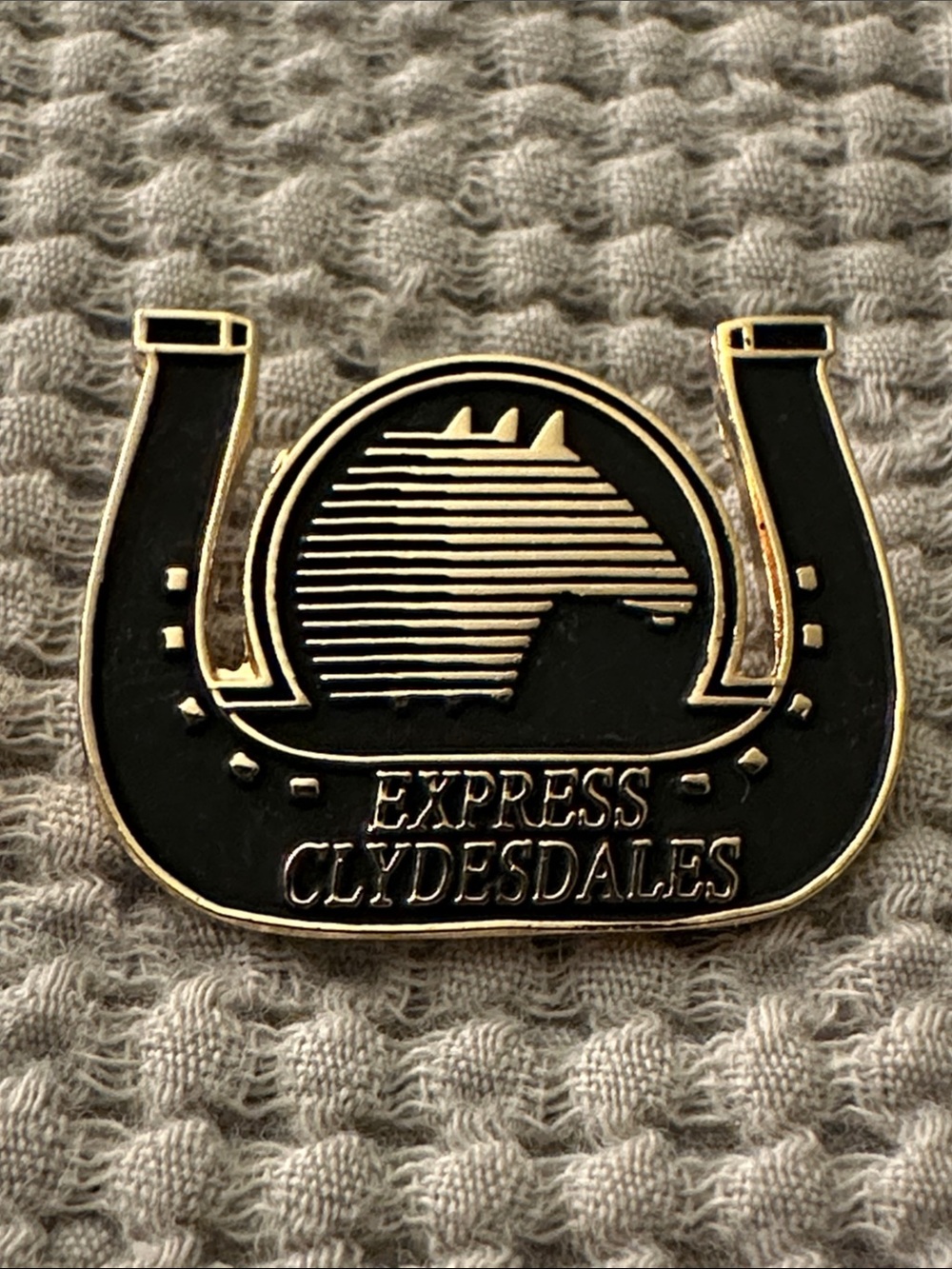Express Clydesdale Pin